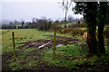 A muddy field, Lisconrea