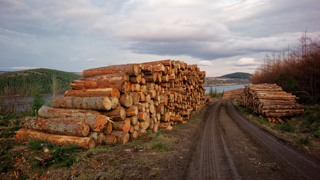 Timber stack, Drumderfit Hill