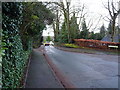 Oak Tree Lane in Bournville