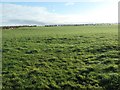 Farmland south of Newmains