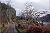 NH6853 : Track to Wood Hill from Ballone, Munlochy Bay by Julian Paren