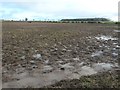 NX9556 : Waterlogged cattle pasture, east of Cowcorse by Christine Johnstone