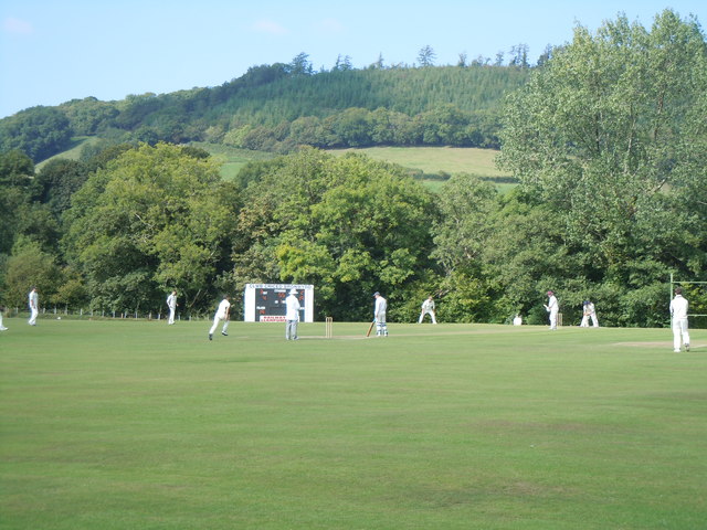 Criced Bronwydd Arms cricket