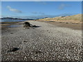 NX9255 : White shells on Mersehead beach by Christine Johnstone
