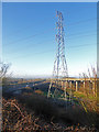 Pylon and the M5/M6 junction