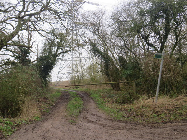 Track and bridleway near Furneux Pelham