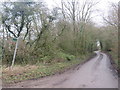 TL4527 : Country lane near Furneux Pelham by Malc McDonald