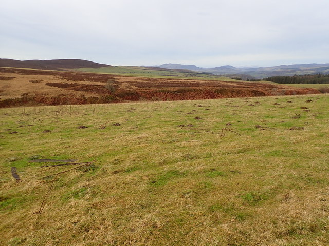 Rough pasture on Moel Cwm Sian Lwyd