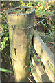 SX7579 : Barbed wire on stile by Derek Harper