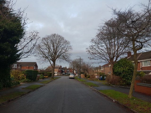 Briony Avenue © DS Pugh cc-by-sa/2.0 :: Geograph Britain and Ireland