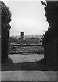 SS0697 : Manorbier Castle, 1954  4 by David M Murray-Rust