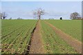 Bridleway to Berwick Lane