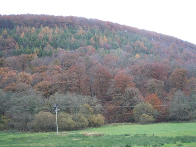 Hydref yng Nghwm Llanllawddog /Autumn in Llanllawddog valley
