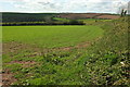 Field near Flear Barn