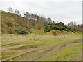 Former Dalton Bank Quarry - south end