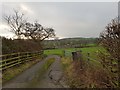 Track to Woodcock Farm