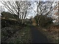 The Derwent Walk near White Byerside Farm