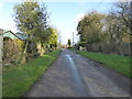 Lane near Milbourne Farm