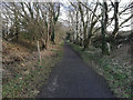 The Derwent Walk near White Byerside Farm