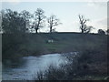 SO4142 : Farm Trailer by the River Wye (Bridge Sollers) by Fabian Musto