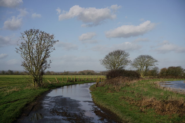 Flooded Track © Peter Trimming :: Geograph Britain and Ireland