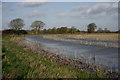 Flooded Field