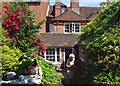 SU8604 : Rear garden of St Martin's Organic Coffee Shop - Chichester by Ian Cunliffe