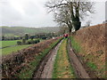 Llwybr i Ffarm Brynog / Path towards Brynog Farm