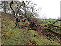 Llwybr ger Bwlch Newydd / Path near Bwlch Newydd