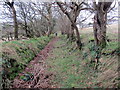 Llwybr Ty Mawr     / Ty Mawr Path