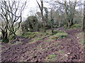 Adfail ger Carnau / Ruin near Carnau