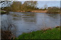 SZ1196 : Bend in the River Stour south of Merritown by David Martin