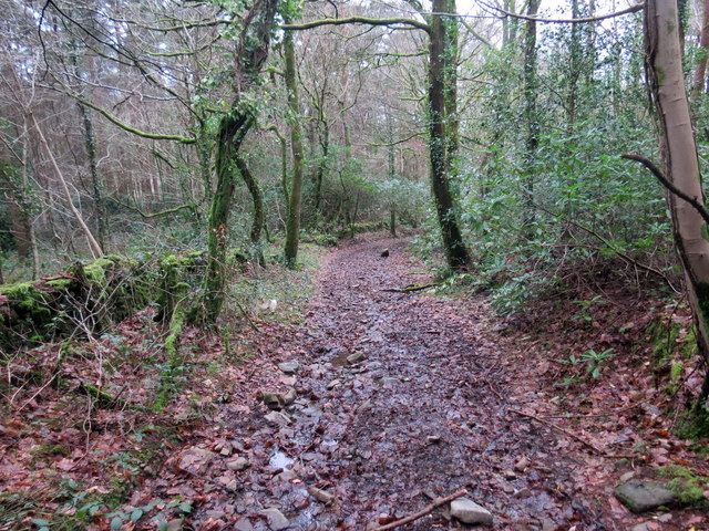 Sarn Helen © Alan Richards Cc-by-sa 2.0 :: Geograph Britain And Ireland