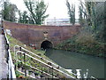 Western portal of Brandwood tunnel