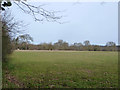 Field north of Bottrells Lane