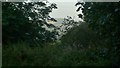 Cockshot Hill (Viewed from Upper Colwall)