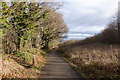 Broad path, descending