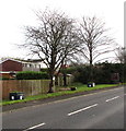 Deciduous trees and flower tubs alongside the A40 Brecon Road, Abergavenny