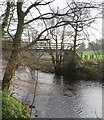 Footbridge over the Nidd