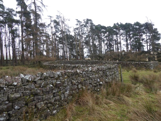 Complex dry stone wall enclosure