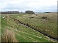 Stream meandering west of Cleughbrae