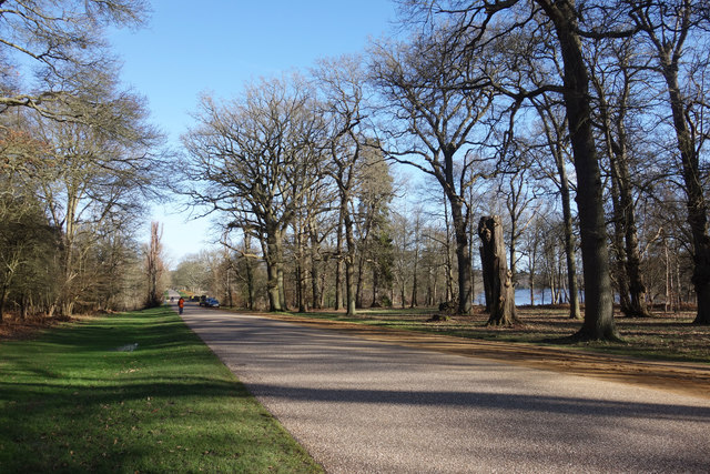 Park Roadway near Blacknest Gate
