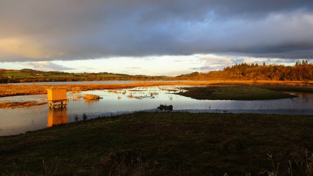 Wetland at Castle Semple Loch