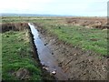 Drain on the salt marsh at Little Neston