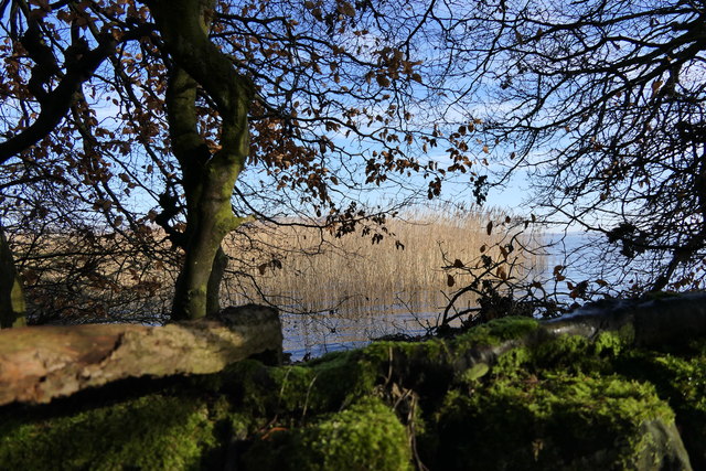 Edge of the Loch