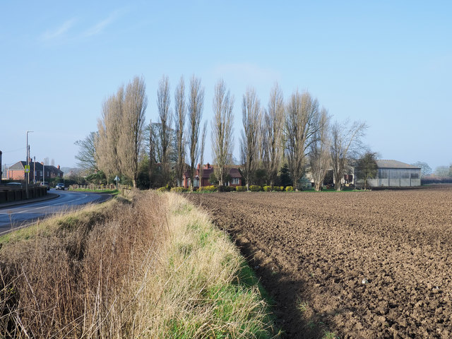 Shallow ditch between road and field