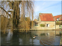 SK9818 : The village pond, Castle Bytham by Jonathan Thacker