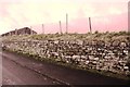 Dry stone wall on NE side of road at Carleton Brow