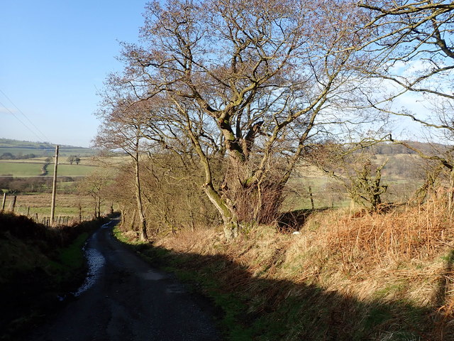 Steep hill with ancient hedgerow