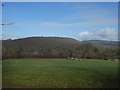 Looking across Hockmoor to Hembury Fort